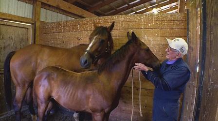 Video thumbnail: Maryland Farm & Harvest Episode 703