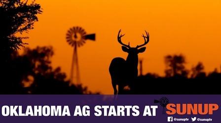Video thumbnail: SUNUP SUNUP - Sept. 24, 2022