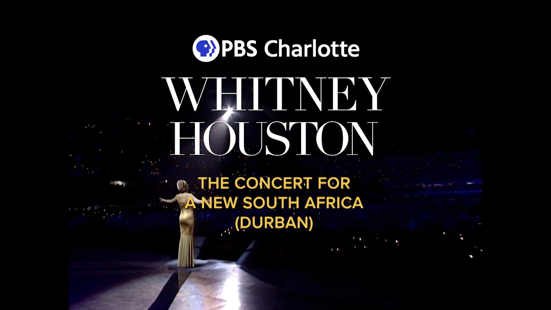 In 1994, Whitney Houston took the stage for a series of three concerts in South Africa.