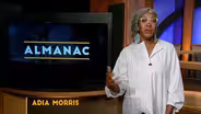 Adia Morris essay | August 2024