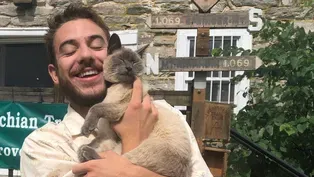 Rico The Hiking Cat (Preview)