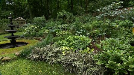Video thumbnail: Volunteer Gardener Volunteer Gardener 3015