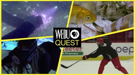 Video thumbnail: WEDU Quest Episode 502 Preview