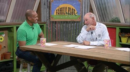 Video thumbnail: The Family Plot Peach Diseases and Insects & Beehive Tour