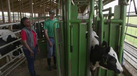 Video thumbnail: Wisconsin Life Fitzgerald Visits Marshfield Agricultural Research Station