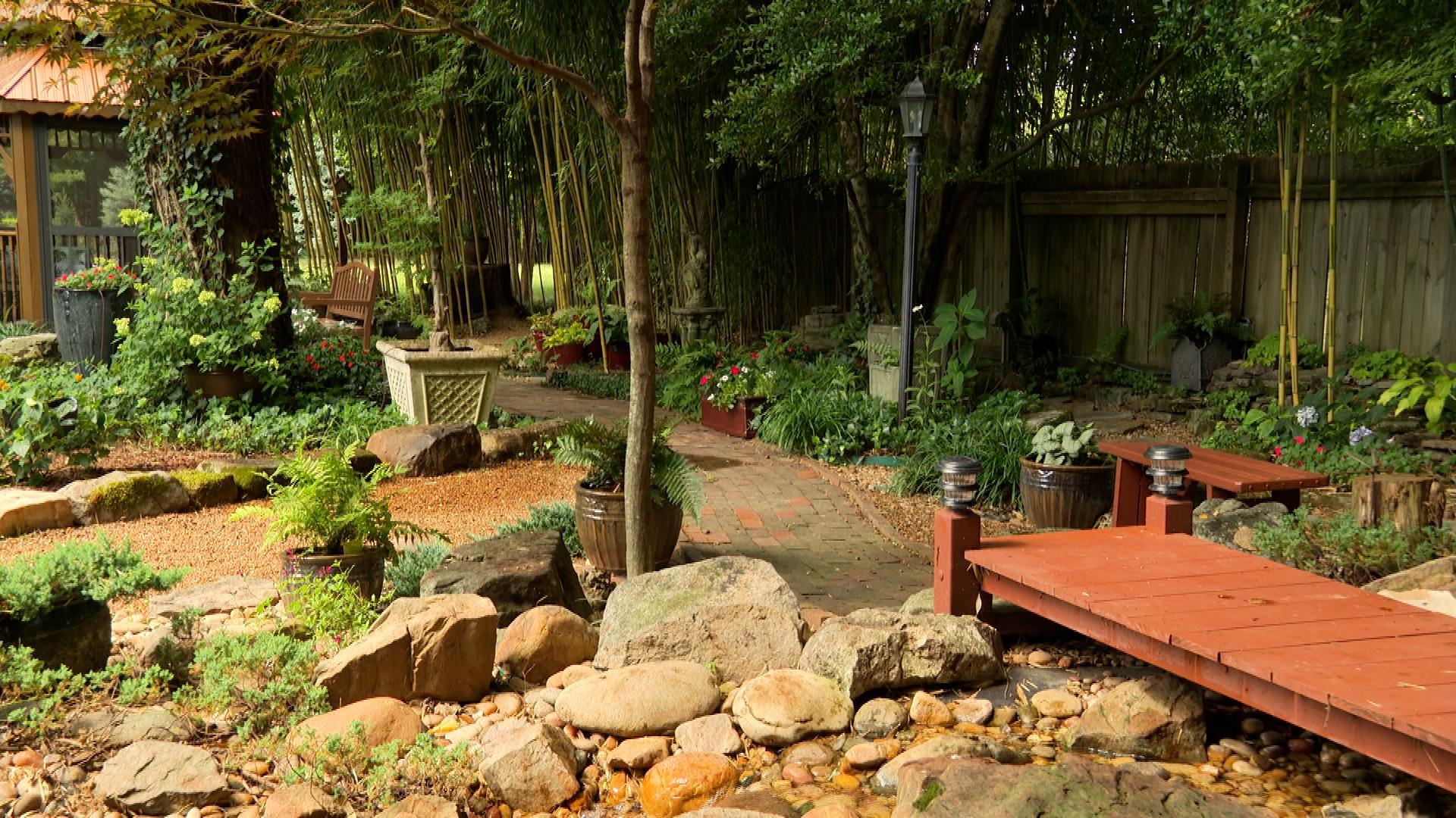 Backyard garden featuring bamboo; growing vegetables in raised beds; plant problems and solutions.