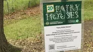 Why Fairy Houses Are Popping Up in Chicago Parks