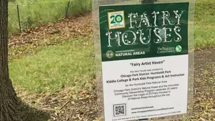 Why Fairy Houses Are Popping Up in Chicago Parks