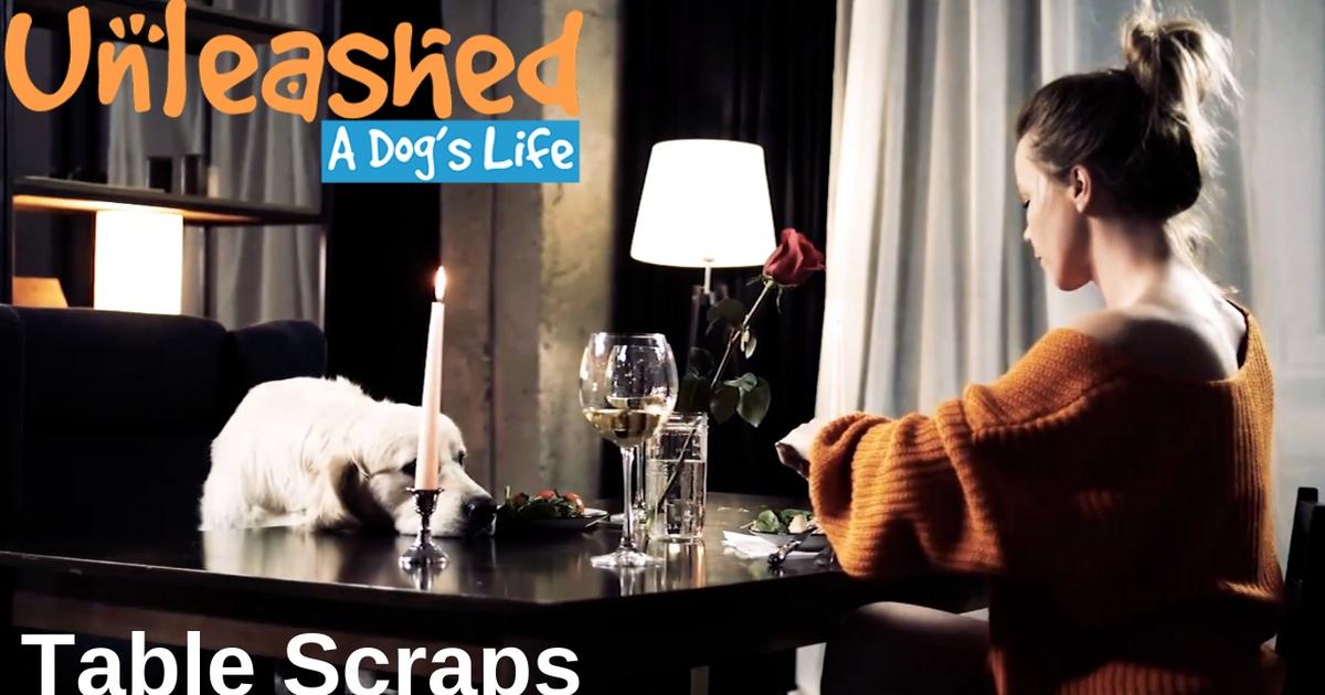 Unleashed: a dog's life | table scraps