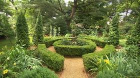 Video thumbnail: Volunteer Gardener Volunteer Gardener 2803