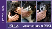7/9/2026 | Mr. Tux, Ron and Toto | Mark's Furry Friends Extra