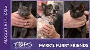8/6/2026 | Jalen, Dorothy and Freddy | Mark's Furry Friends