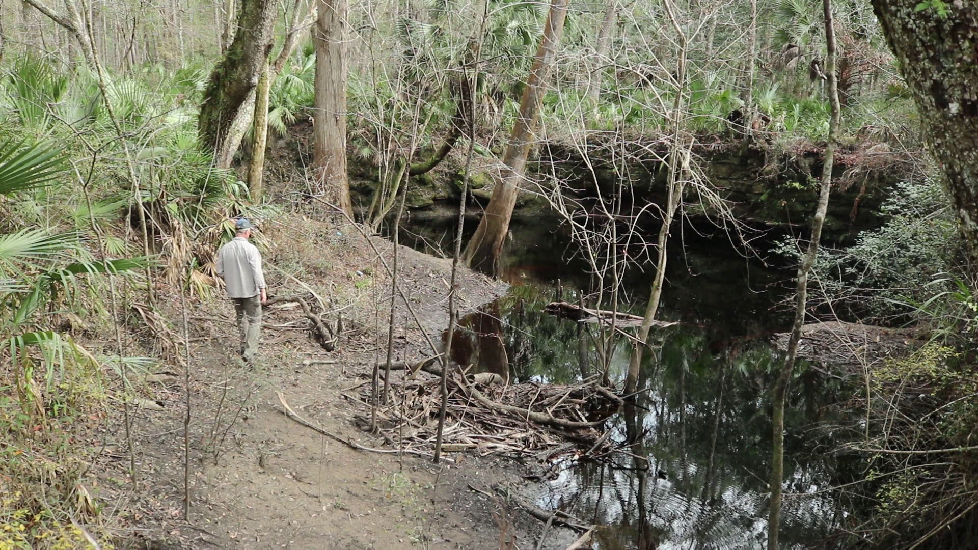Hiking the Aucilla Sinks | Geology of the Floridan Aquifer