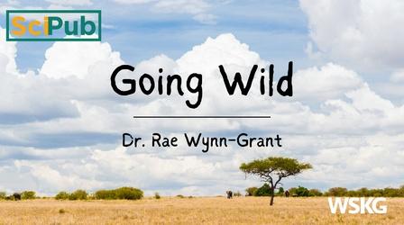 Video thumbnail: Science Pub Going Wild with Dr. Rae Wynn-Grant