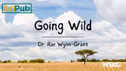 Going Wild with Dr. Rae Wynn-Grant