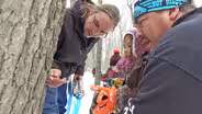 Iskigamizigan (Sugar Bush)