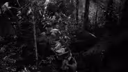 Into the Amazon: Chapter 1