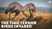 The Time Terror Birds Invaded