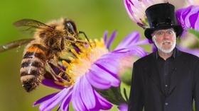 Video thumbnail: Steve Trash Science Messy Babies and Pollinators / Your Digital Footprint