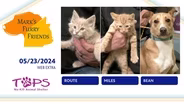 05/21/2024 | Route, Miles and Bean  | Mark's Furry Friends | Extra