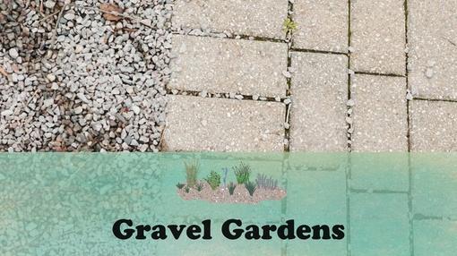 Let's Grow Stuff : Gravel Gardens
