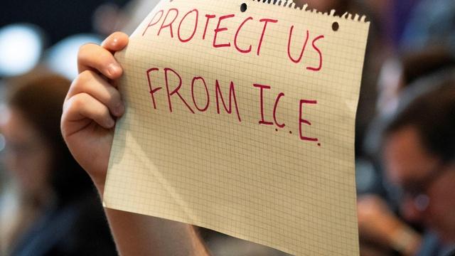 How Trump's deportations have affected migrants and citizens
