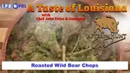 Wild Hog / Sources of Wild Game