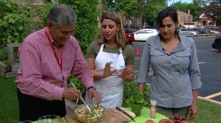Video thumbnail: Chicago Tonight Make Salsa and Pico de Gallo with Homegrown Ingredients