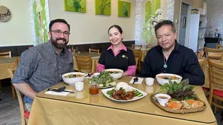 Plant Based Plates