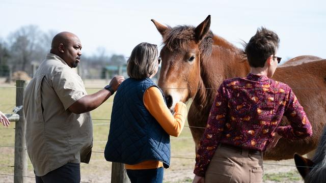 After Action | Veteran Grown