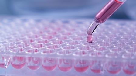 Video thumbnail: QED With Dr. B The Promise Of Genetic Sequencing
