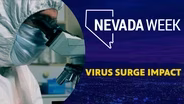 Virus Surge Impact