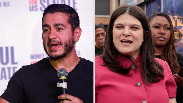 Michigan Senate primary divides Dems over direction of party