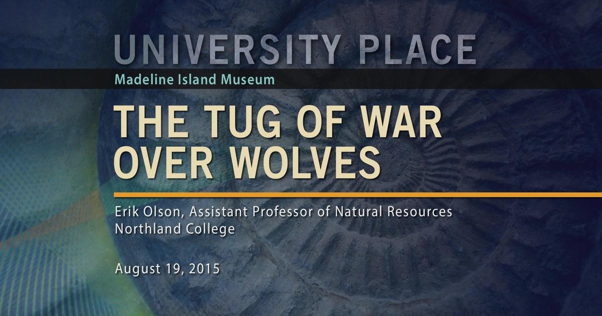 University Place | The Tug of War over Wolves