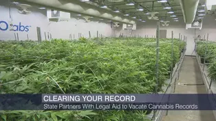 Report: 34,000 Illinoisans Eligible for Cannabis Expungement