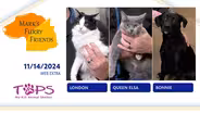 11/14/2024 | London, Queen Elsa and Bonnie | Mark's Furry Friends | Web Extra