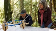 Collaborating With Trees: Todd Horton