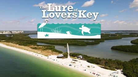 The Lure of Lovers Key image