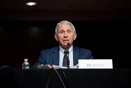 VP Harris catches COVID, Fauci walks back pandemic comments