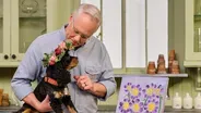 Pets and Flowers