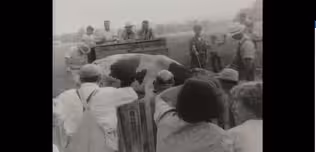 Farming Project #1: Measured Furrows: VT's Farming History