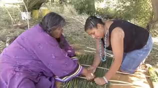 Constructing a Wickiup