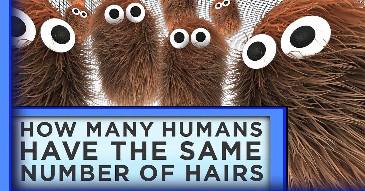 The World's Simplest Theorem Shows That 8,000 People Globally Have the Same  Number of Hairs on Their Head