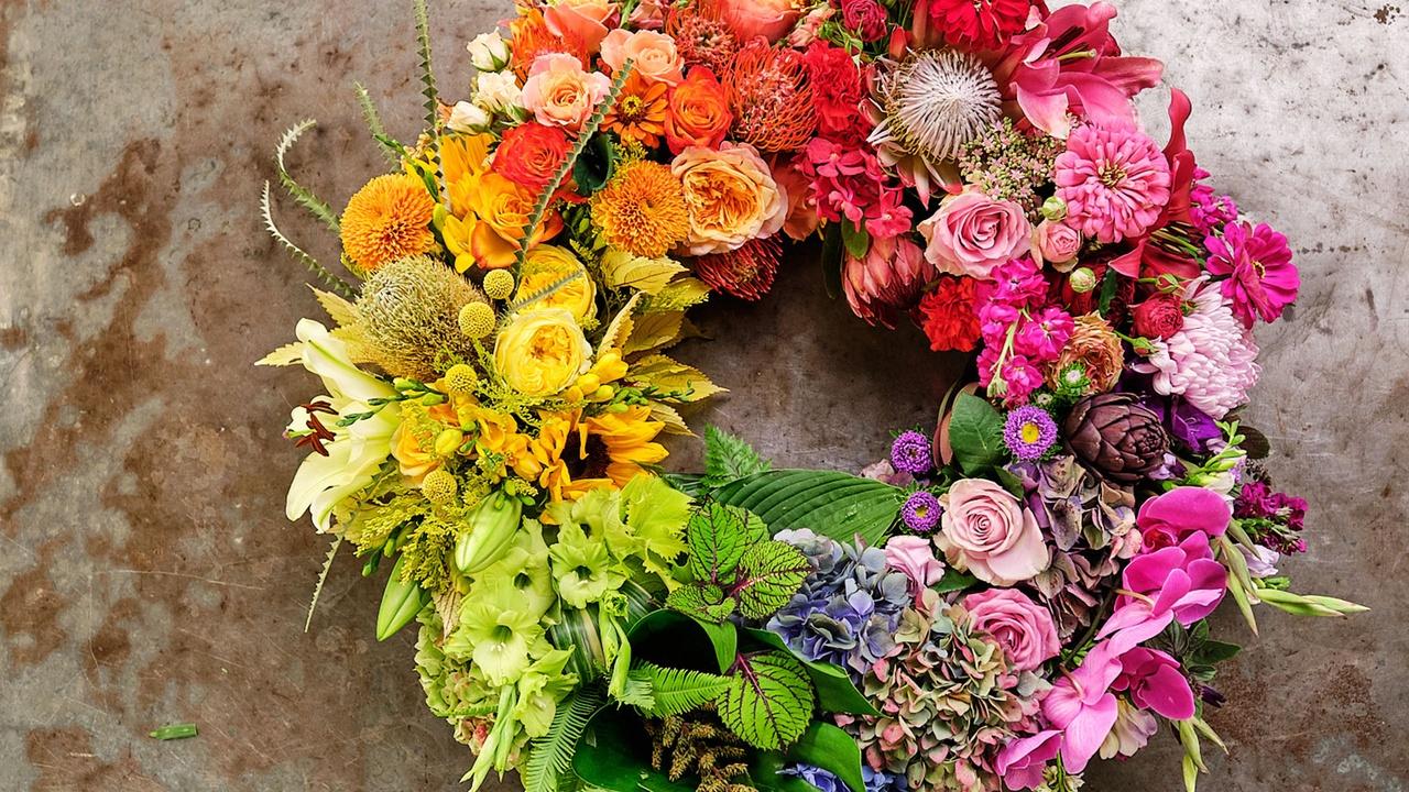 J Schwanke's Life In Bloom | Flowers: Nature's Rainbow