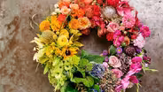 Flowers: Nature’s Rainbow
