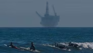 Hydra on the Horizon