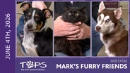 6/4/2026 | Big Foot, Moolatte and Tori 2.0 | Mark's Furry Friends Extra