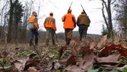 Quail Hunting in Logan County and a World-Record Bass!