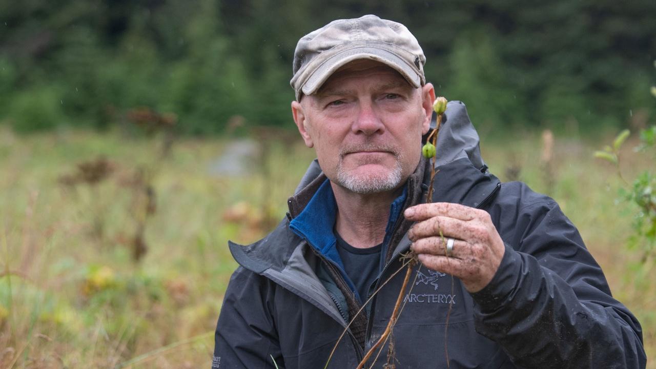 Les Stroud's Wild Harvest | Chocolate Lily