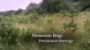 Mountain Bogs – Threatened Heritage